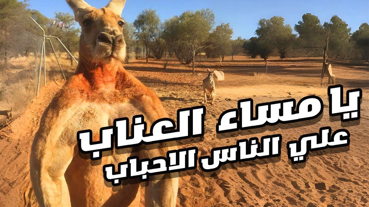 الخميس اللذيذ_4