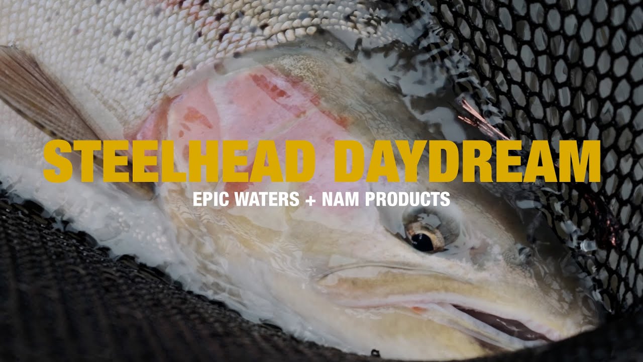 Steelhead Daydream
