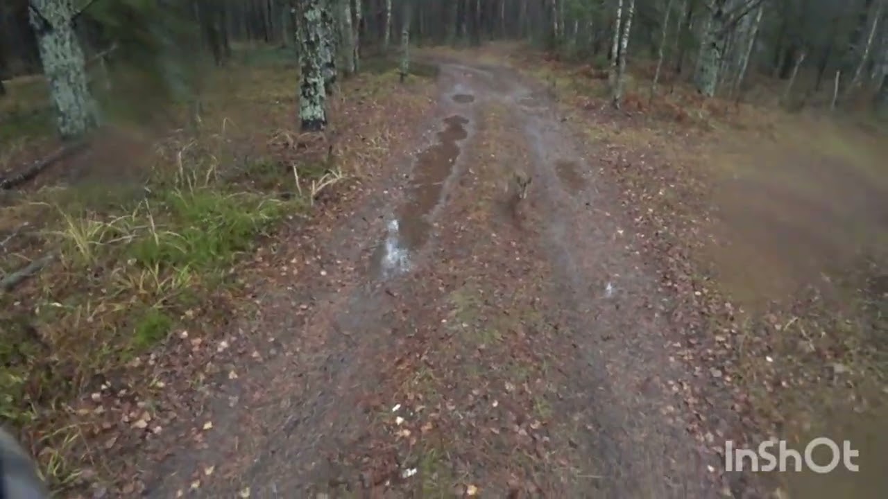 Охота с гончей 04 ноября 2025г.