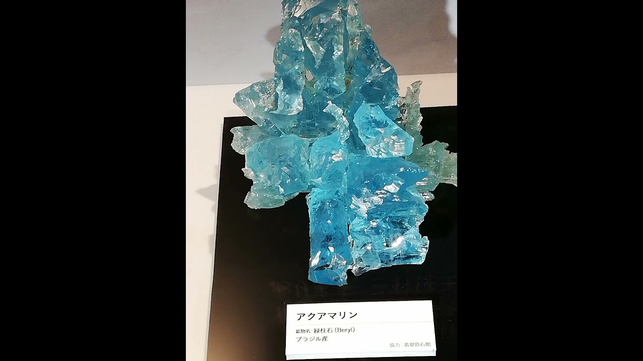 国立科学博物館に特別展「宝石ー地球がうみだすキセキ」を見に行った！撮影可能エリアを紹介！