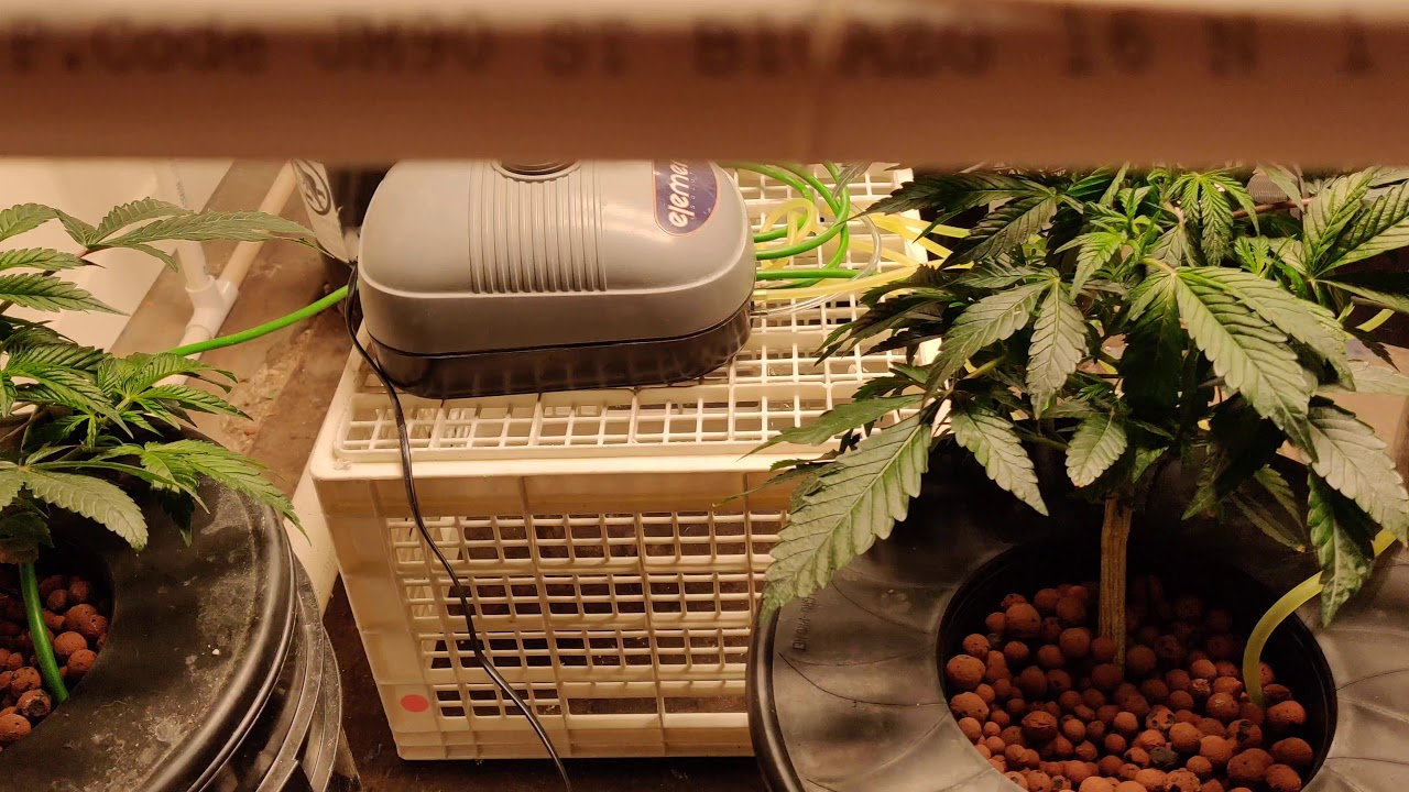 Perpetual Grow Garage Setup Update 1A