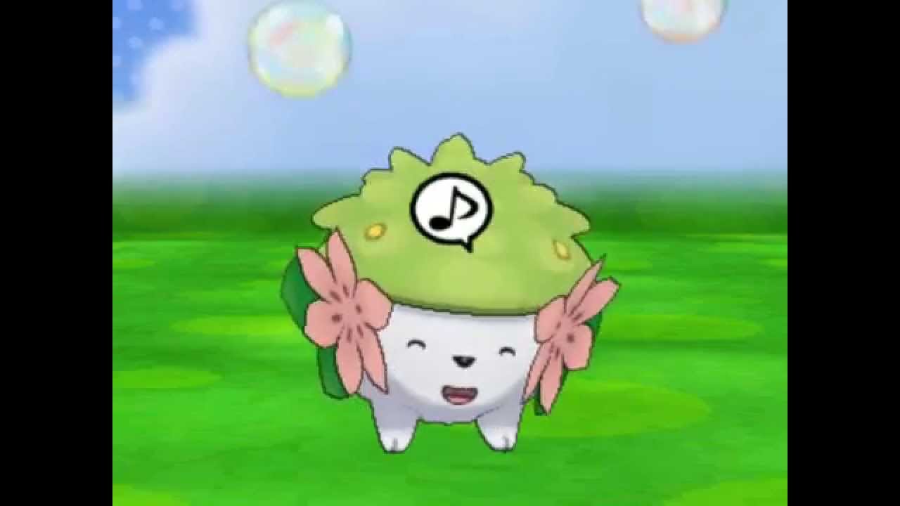 Pokemon Amie: Shaymin