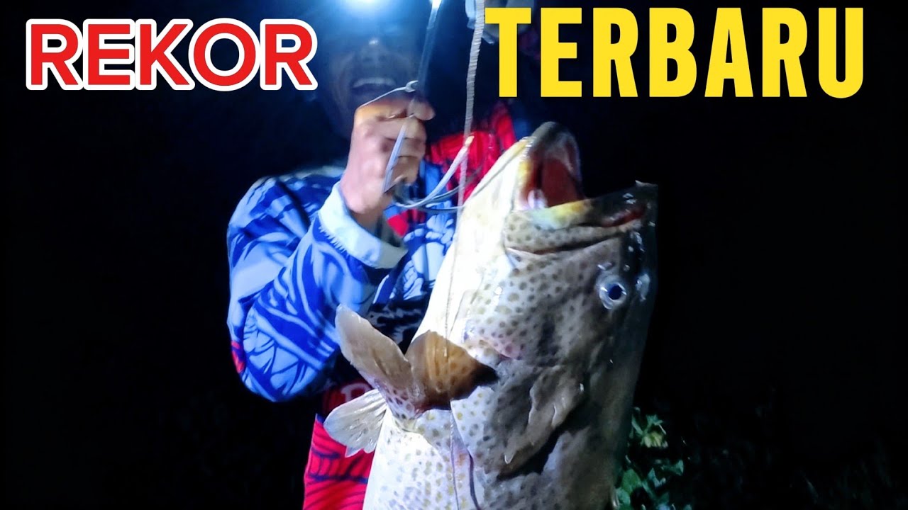 REKOR TERBARU‼️ STRIKE IKAN KRAPU BESAR