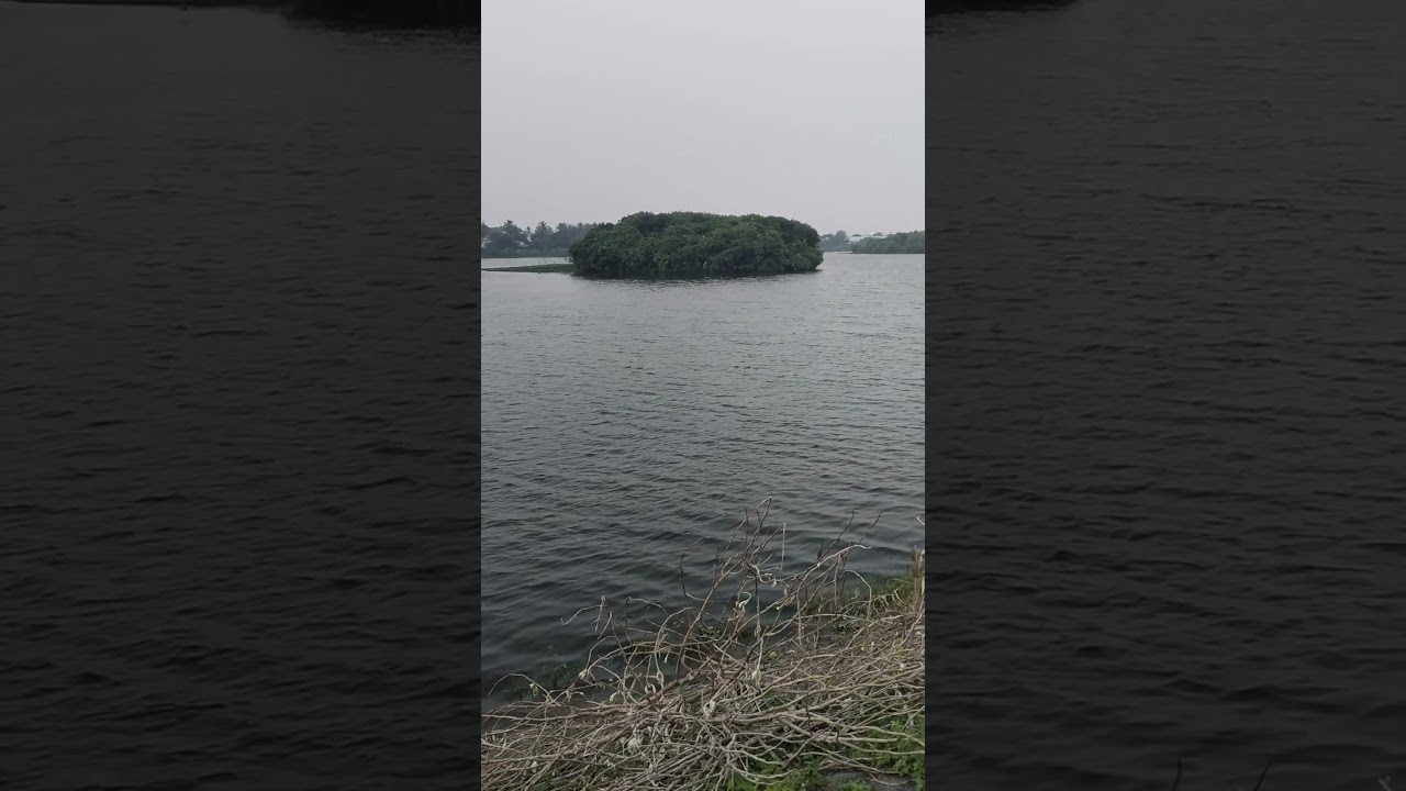 Day 9 ✅ | 10,000 Steps  | Discipline தான் வெற்றி!