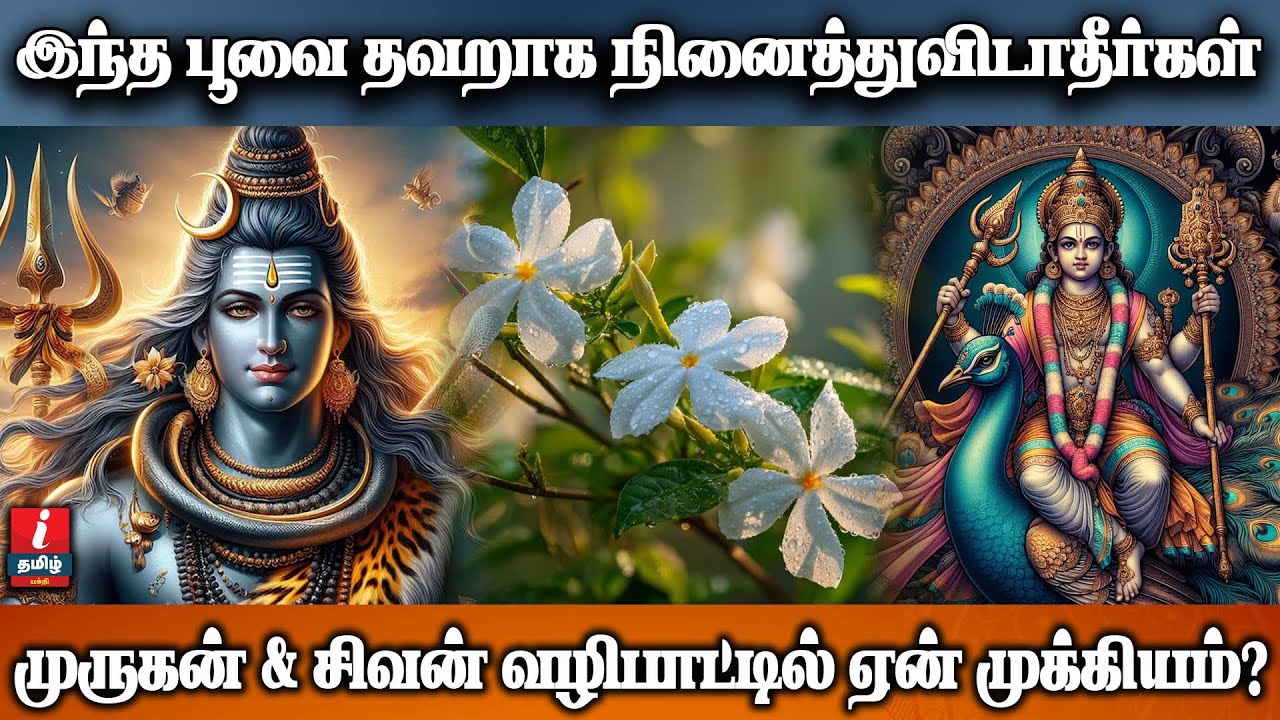 இந்த பூ முருகன் & சிவன் வழிபாட்டில் ஏன் முக்கியம்? | I TAMIL BAKTHI |