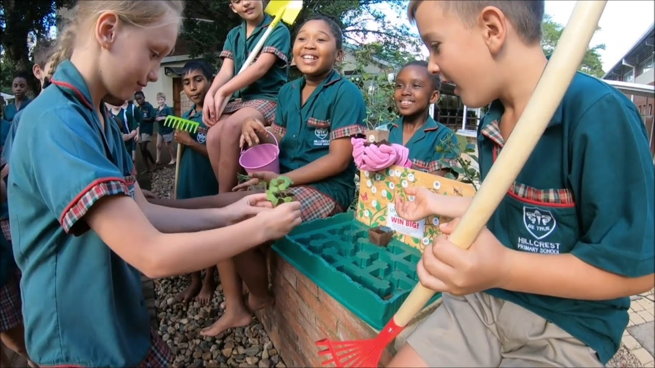 Garden Song Hillcrest Primary