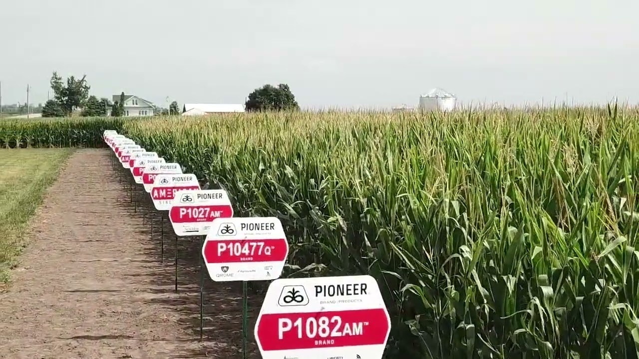 Field Trials Ensure Success in Your Field