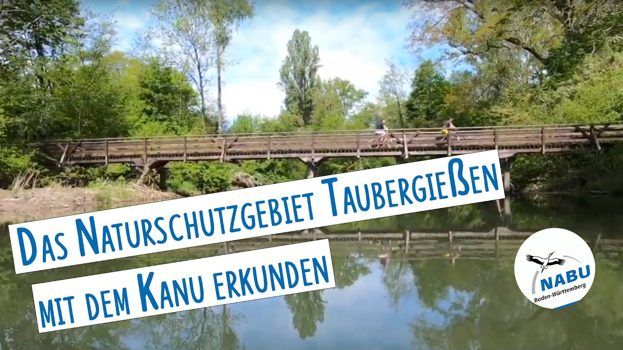 Mit dem Boot durchs Taubergießen – Kanu fahren im Naturschutzgebiet am Oberrhein