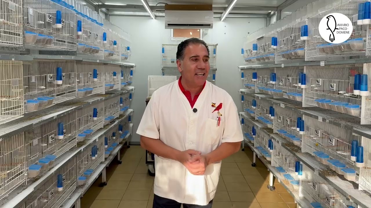 Visitando los concursos y mostrando los canarios para ceder.