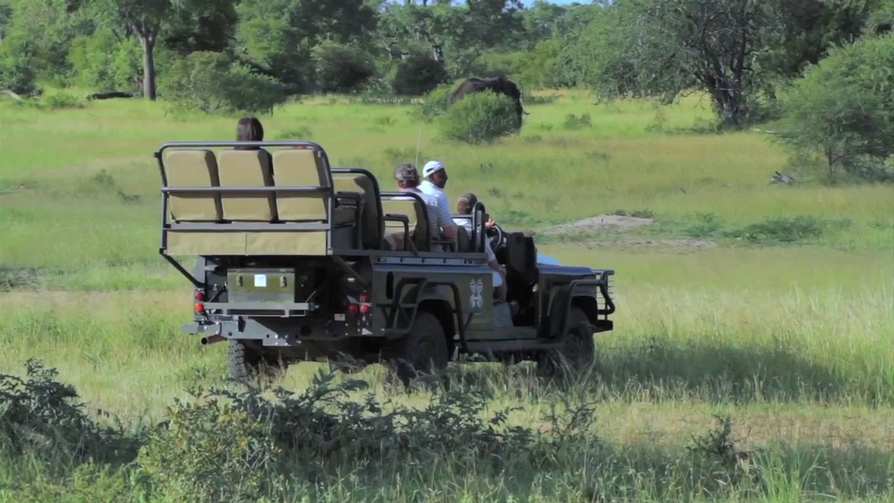 TCS World Travel | Londolozi Game Reserve Expert Adam and the Lioness