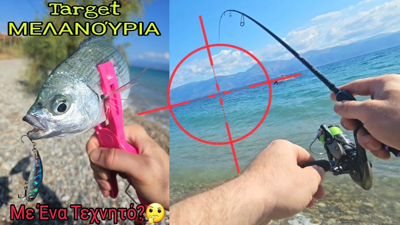 ΜΕΛΑΝΟΎΡΙΑ ΤΈΡΑΤΑ ΜΕ ΕΝΑ ΤΕΧΝΗΤΟ #lrf ΑΝΑΚΤΉΣΕΙΣ! ΣΩΣΤΈΣ ΣΥΝΘΉΚΕΣ! #saddledseabream #target #greece