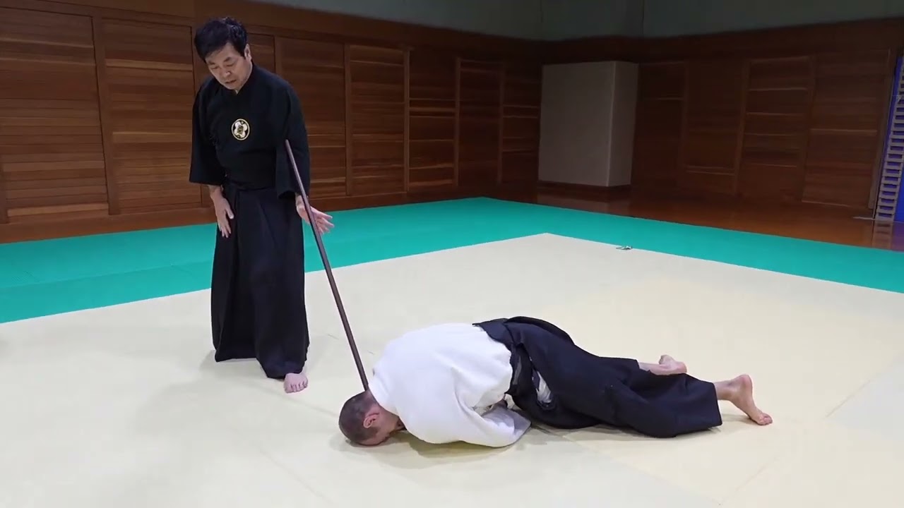 Aiki Jo Techniques - Daito-ryu Aikijujutsu Koshinkai