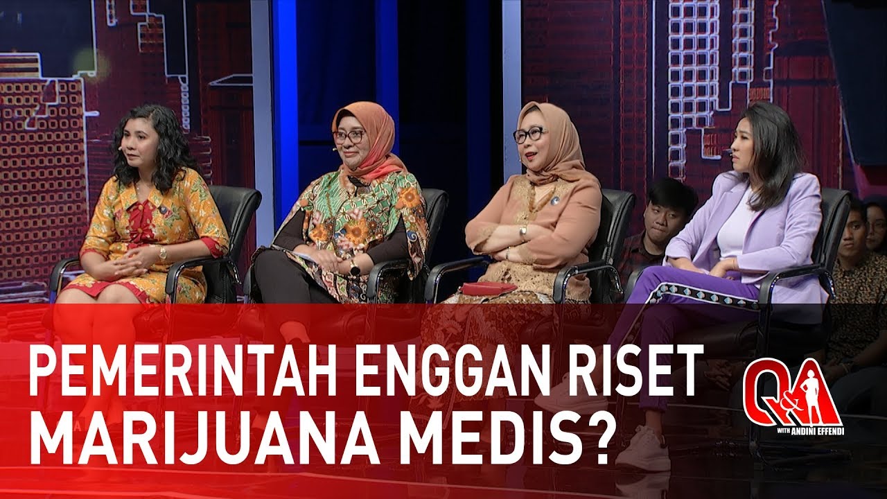 Q&A : KAPAN INDONESIA BERANI UNTUK RISET MARIJUANA MEDIS? (1/6)