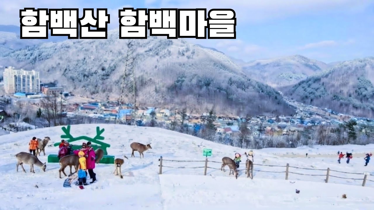 ⛰️  설경,맛집,카페 겨울 여행     The Korean Alps