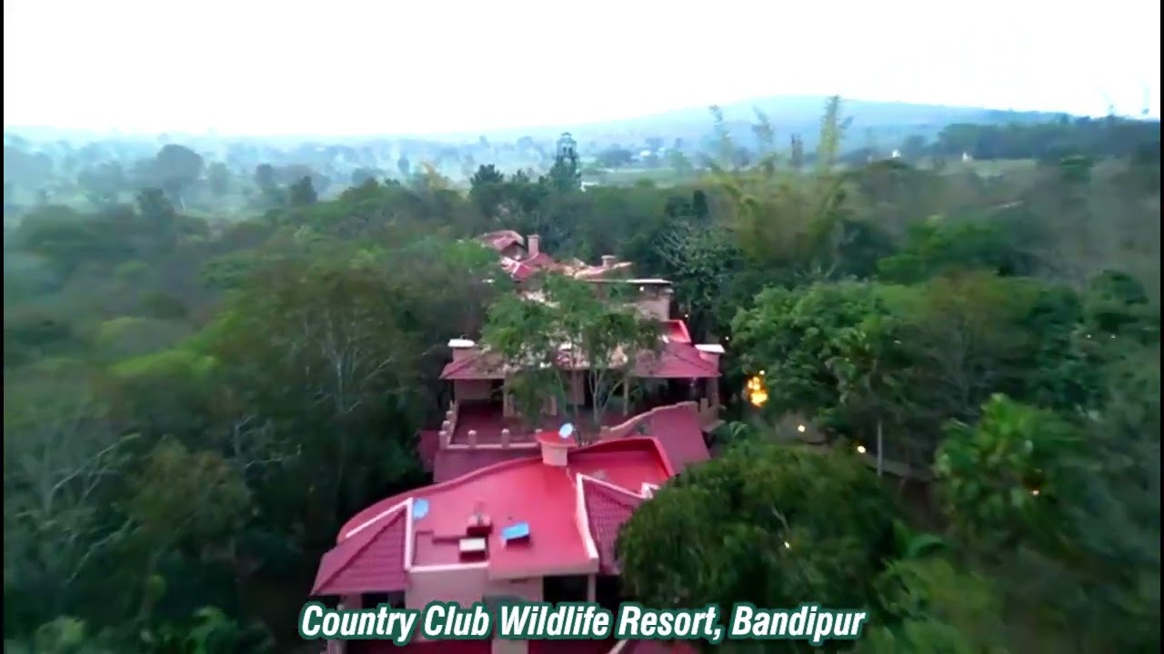 Country Club Wildlife Resort Bandipur | Stay Inside the Forest | Best Resort in Forest