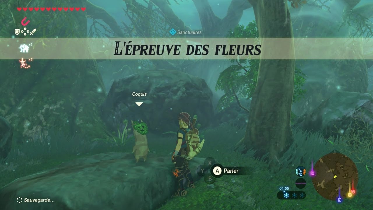 zelda Breath Of The Wild #Sanctuaire 48 epreuve des fleurs chokahi