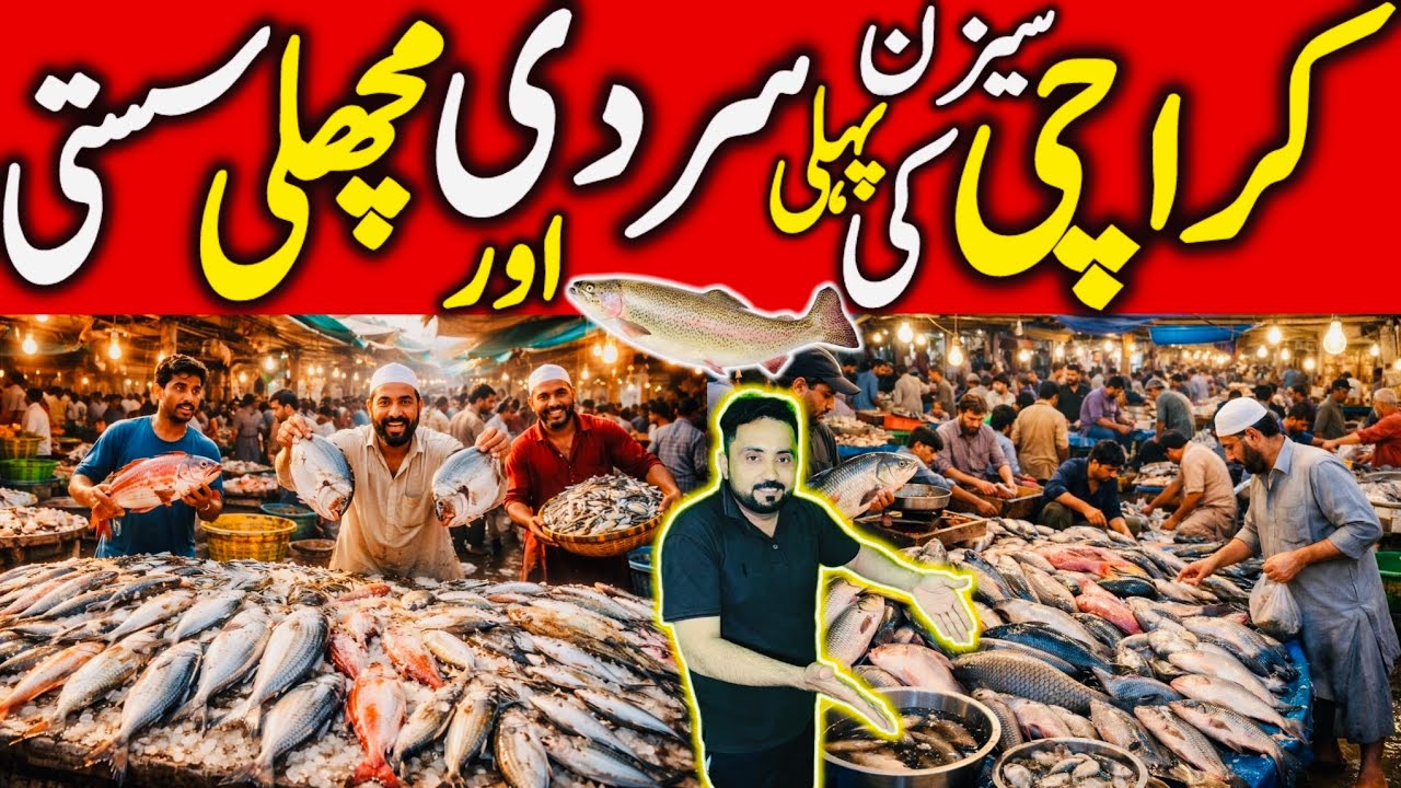 Cheapest Fish Wholesale Market in Karachi | Fresh Fish Mandi in karachi | Fish price in karachi