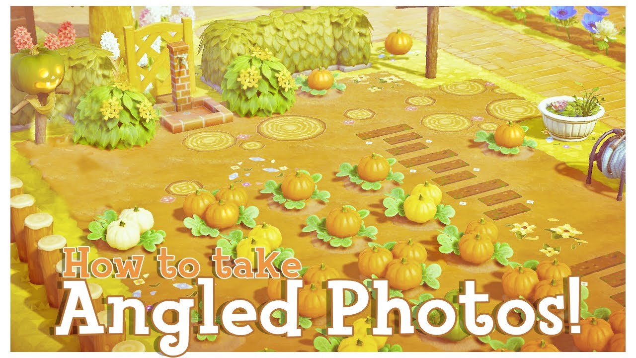 How to get ANGLED Photos in ACNH! | SUPER EASY!!