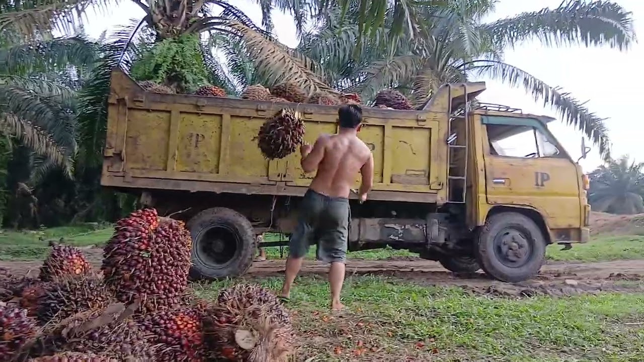 Muat langsiran tahun tanam 2014