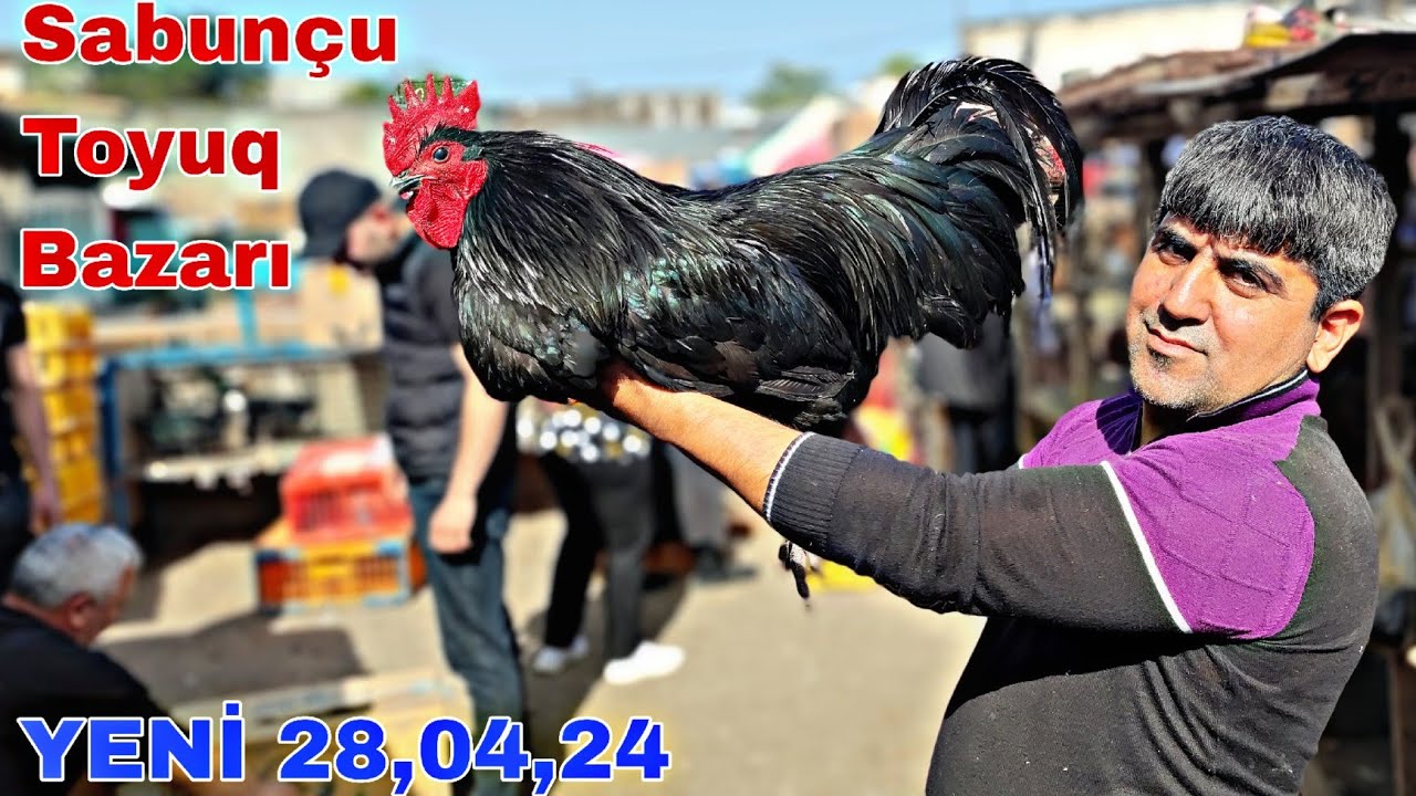 Sabunçu Toyuq Bazarı 28 aprel 2024, 0503303013,0506751756