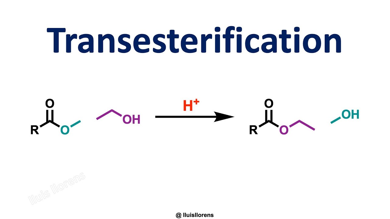 Transesterification Reaction