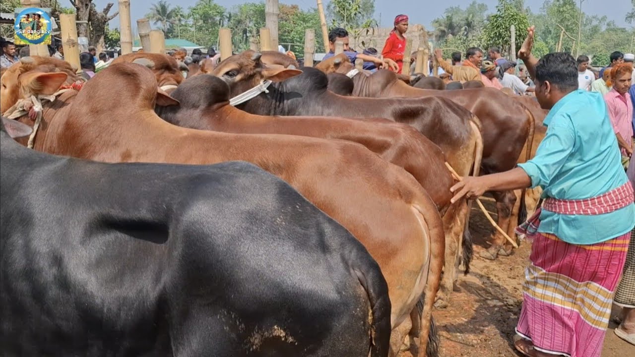 @ ১৬ মার্চ