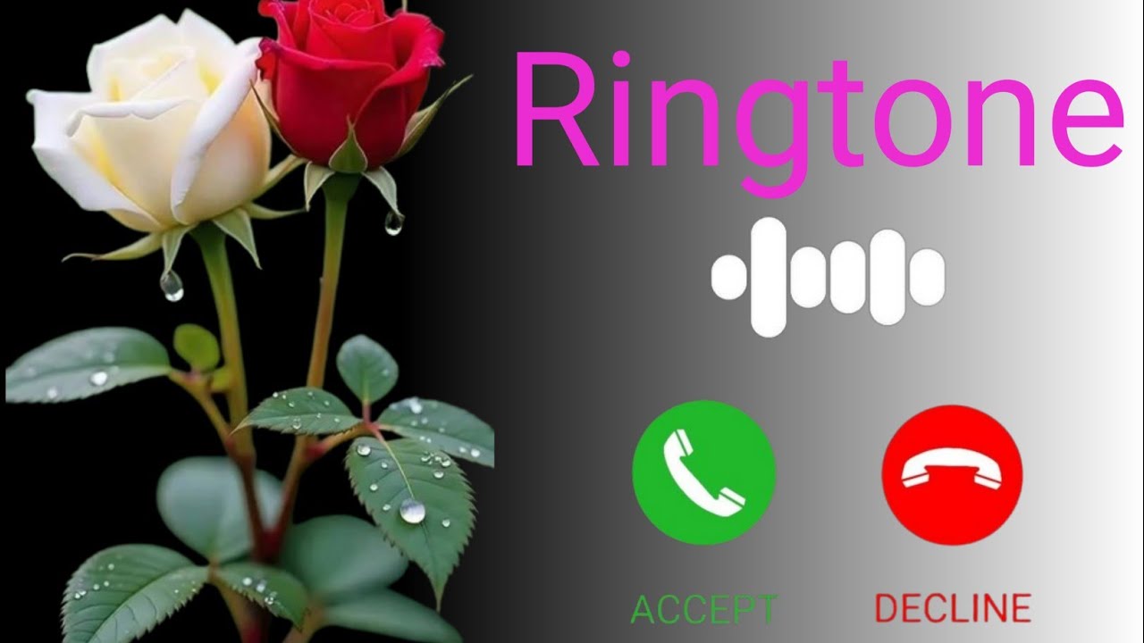 Best Ringtone 2026 Hindi Song Ringtone New Song Ringtone Mobile Phone Ringtone Incoming Ringtone 