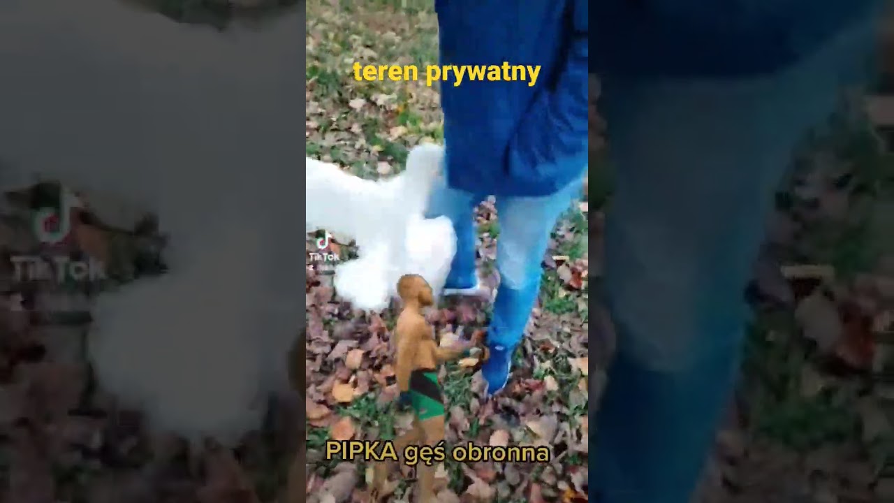 TEREN PRYWATNY JEZIORO TARNOBRZESKIE  #WAKePARKTARNOBRZEG