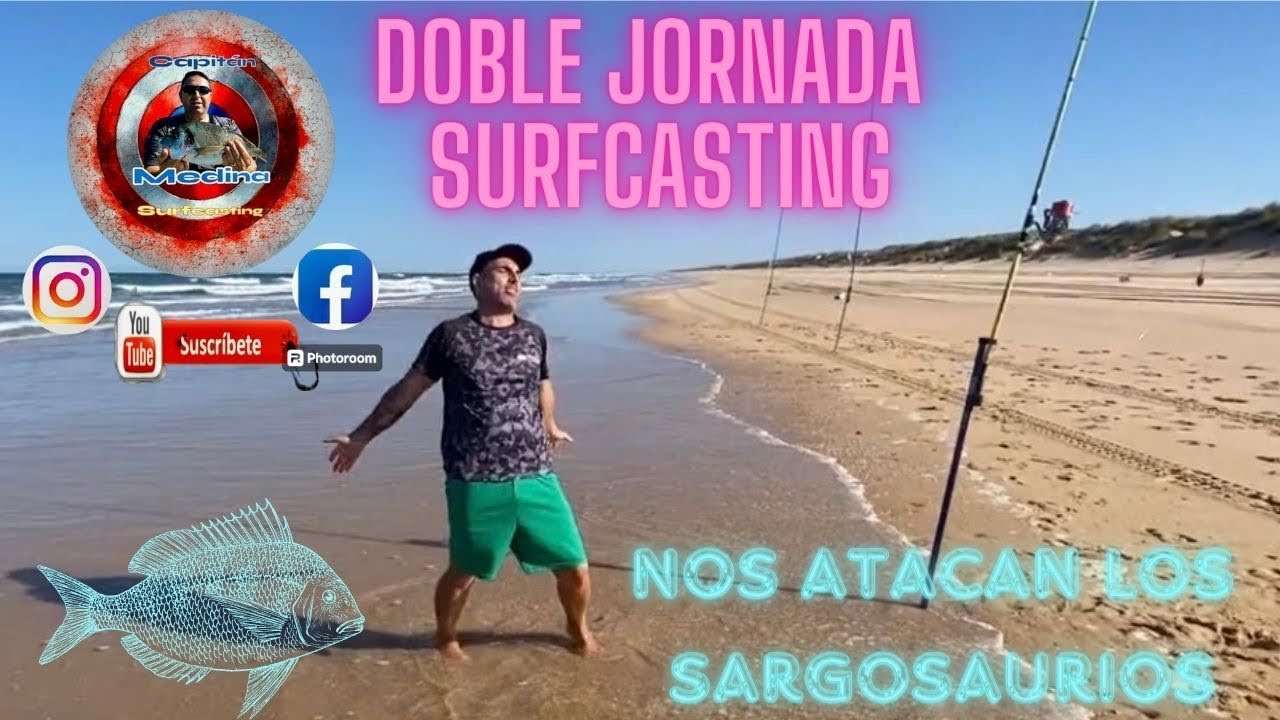 Surfcasting desde orilla ,nos atacan los Sargosaurios ,grandes capturas en nuevas zonas de pesca🌊🎣🐟‼