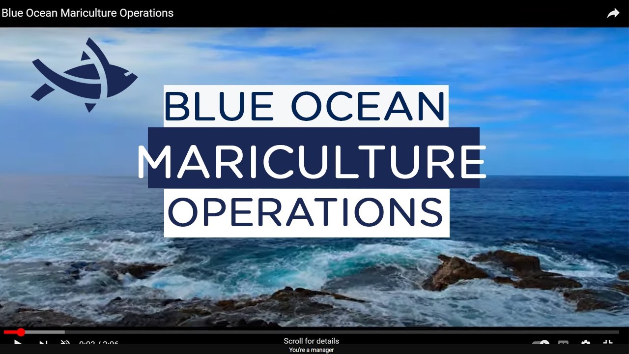 Blue Ocean Mariculture Operations