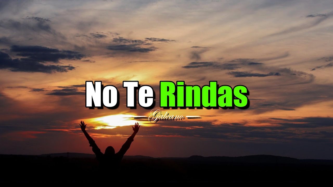 No Te Rindas LUCHA y TRIUNFA ¦ Gratitud, Frases, Reflexiones, Agradecimiento, Reflexión