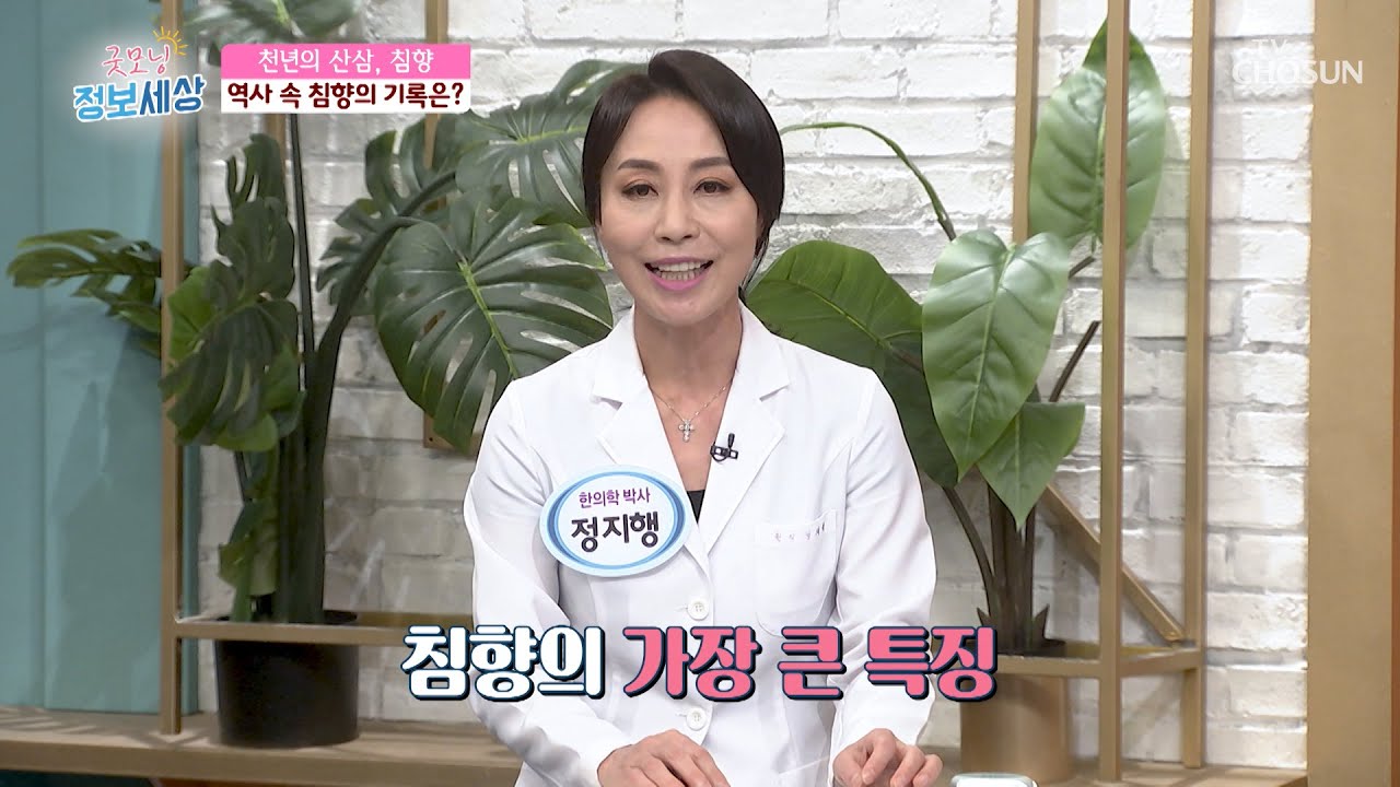 향의 다이아몬드 천년의 산삼 &lsquo;침향&rsquo;의 효능은? TV CHOSUN 220721 방송 | [굿모닝 정보세상] 661회 | TV조선