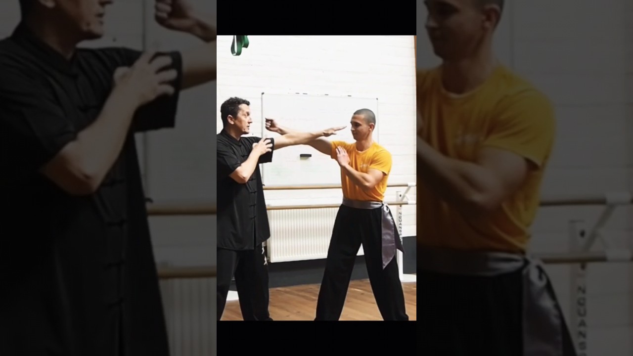 How to apply Wooden Dummy Techniques #wingchun #kungfu #toulouse