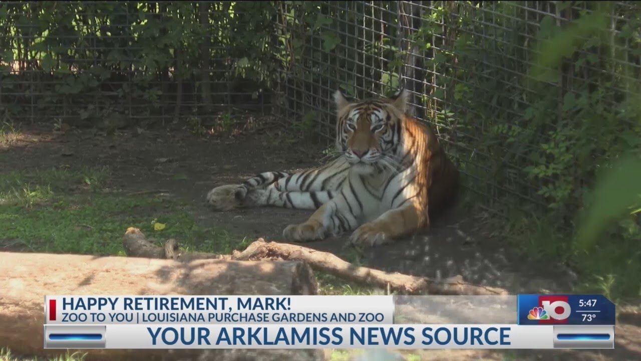 NBC 10 News Today: Zoo to You