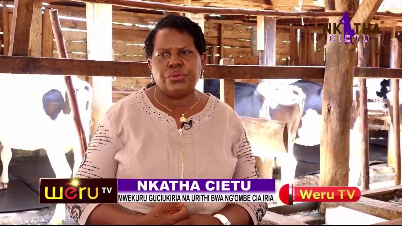 NKATHA CIETU