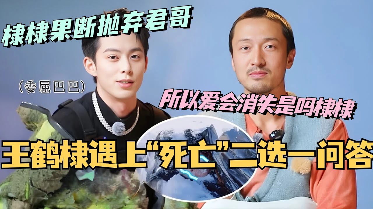 【MultiSub】王鹤棣遇上“死亡”二选一问答？棣棣果断抛弃王传君！君哥 所以爱会消失是吗？#综艺 #娱乐 #五十公里桃花坞 #王鹤棣 #王传君 #dylanwang