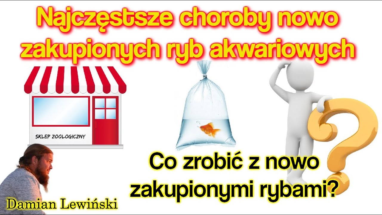 CHOROBY nowo zakupionych Ryb Akwariowych / Co zrobić z nowo zakupionymi rybami?