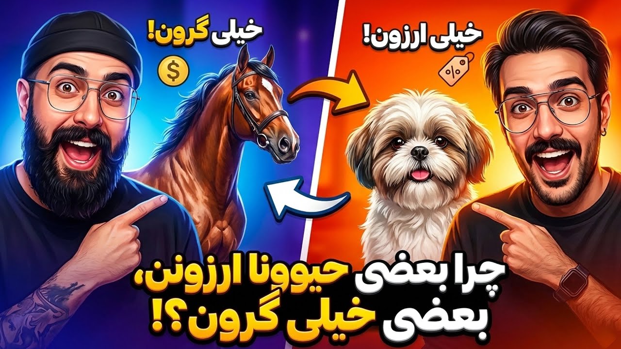 این یکی ارزونه، اون یکی گرونه؟! چرا؟