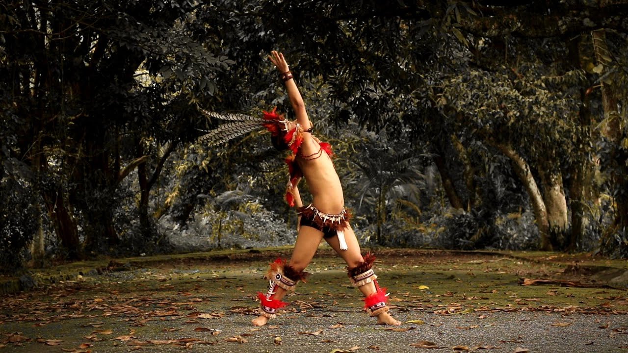 Coreografia Guardiões da Natureza -  Ananin Dance - Daniel Lâminas