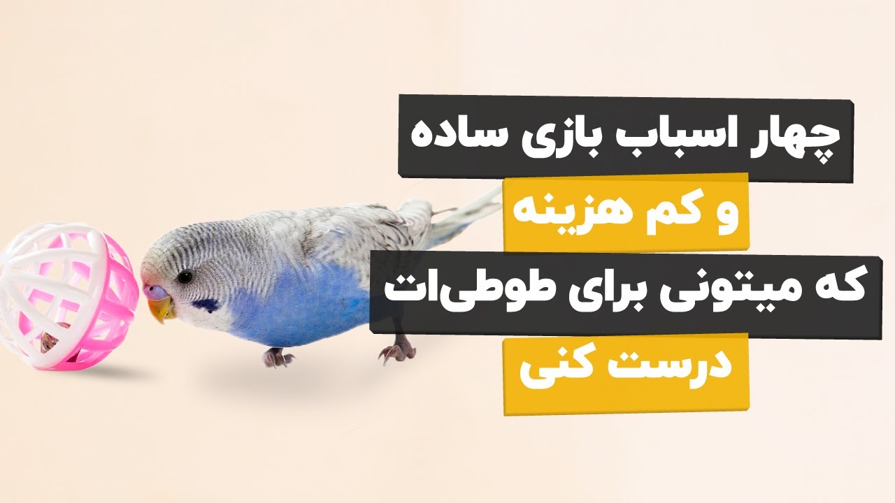 🦜⚡برای طوطی این اسباب بازی ها رو درست کن