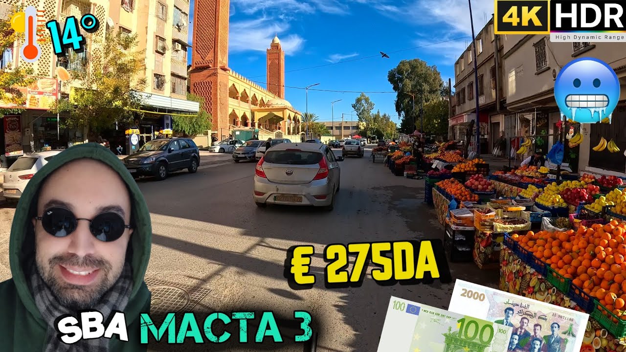 GAMBETA ! SID DJILALI ! MACTA 3 ARRIVE ! BALADE FRAÎCHE HIVERNALE SOUS LE SOLEIL ☀️❄️ #448 #dz #euro