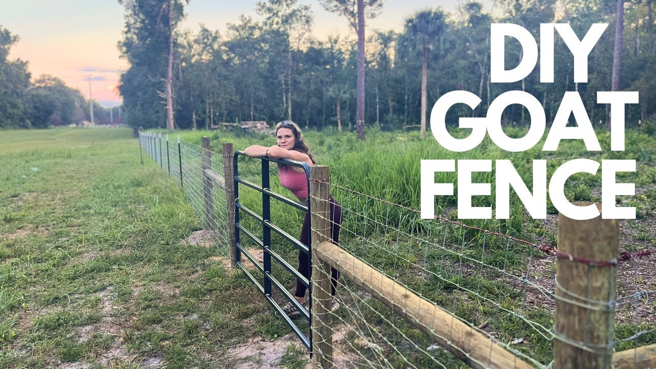 My first woven wire Fence