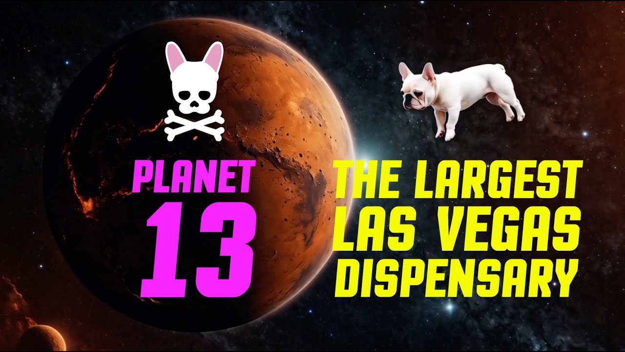 Planet 13 - The largest Las Vegas dispensary