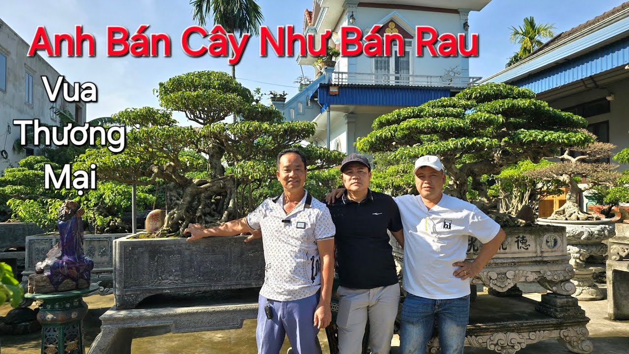 KHIẾP THẬT ! Anh ý BÁN CÂY NHƯ BÁN RAU - NV anh THỊNH - Thủy Nguyên - HP - ĐT: 0977170536 .