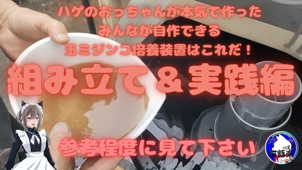 はげのおっちゃんがつくったミジンコ培養装置組み立て実践編