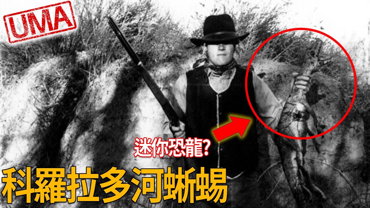 「科羅拉多河蜥蜴」，2000年流傳「恐龍獵人」照片真偽?大量於科羅拉多州被目擊的雙足奔跑小型爬蟲生物真面目真的是倖存恐龍?