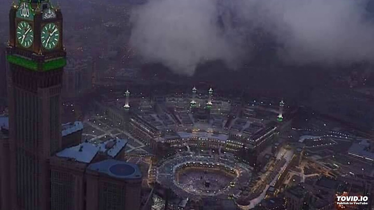 ما الفرق بين التراحم والتوادد والتعاطف الوارد في حديث ( ترى المؤمنين في تراحمهم وتوادّهم وتعاطفهم كم