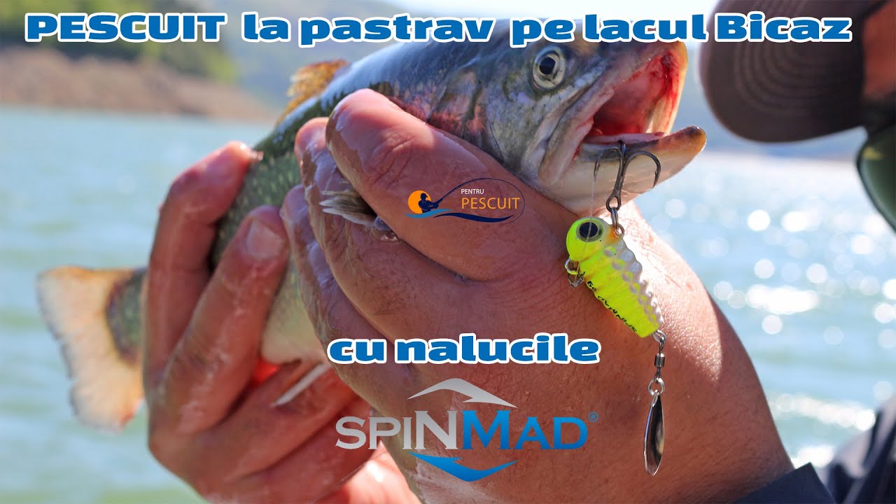 Pescuit la pastrav pe lacul Bicaz' 2020 cu nalucile Spinmad : spinnertails, cicade si voblere