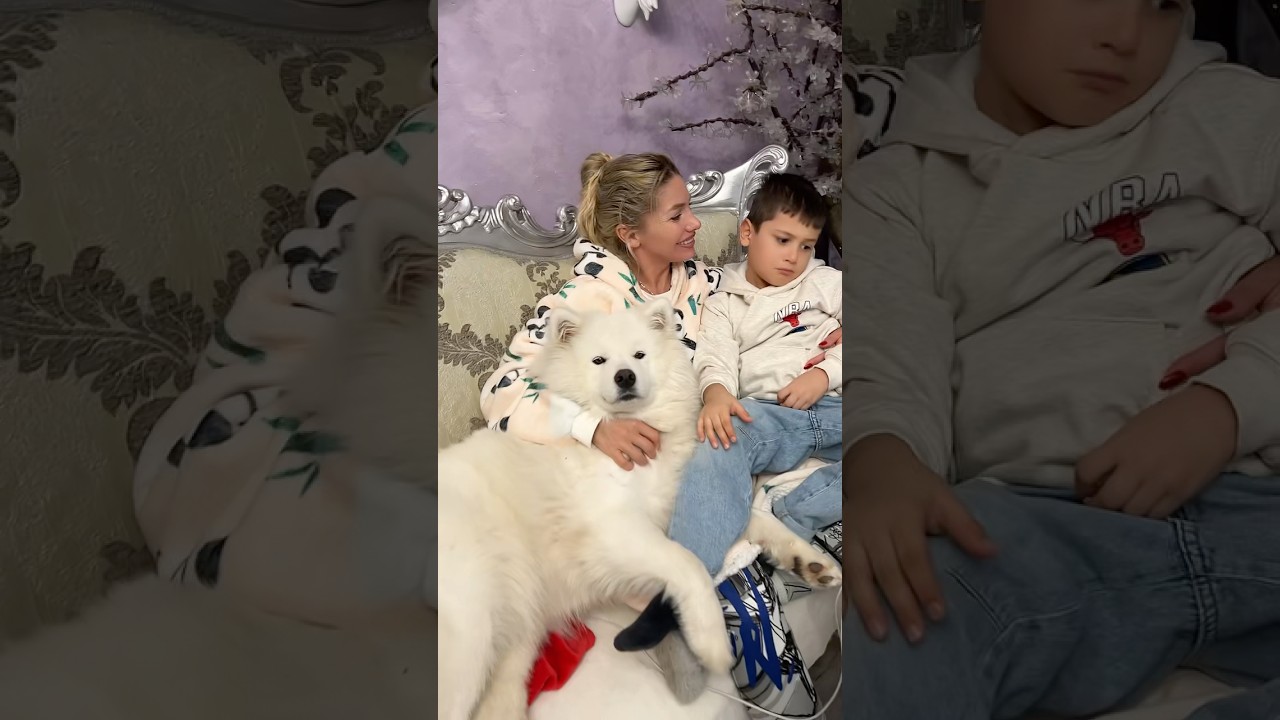 Grămada cere vârf, se urcă Rafael pe mine, se cațără și Layla!🤣 