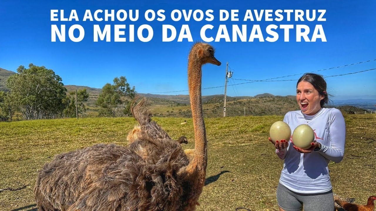 Pousada em São João Batista do Glória ótima para crianças